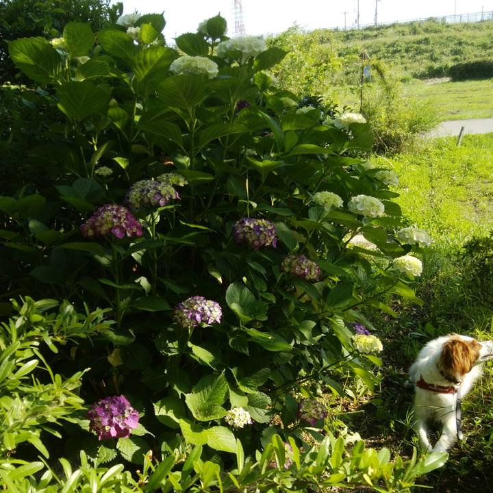 5e705f83 42d7 4176 938c a1f48b508e27 1527986218317