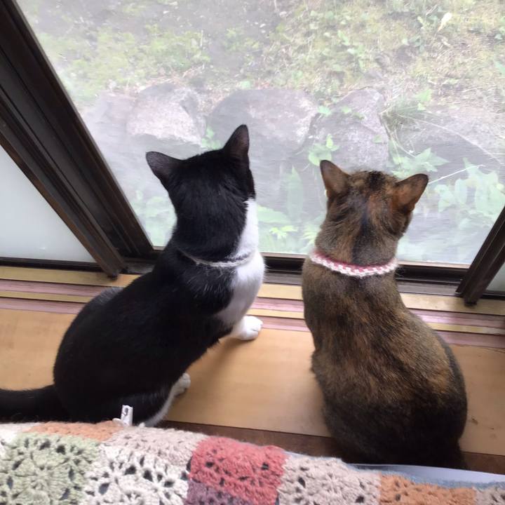 5e707031 da3c 4432 aec1 ee9a32aa1b19 1655779531670