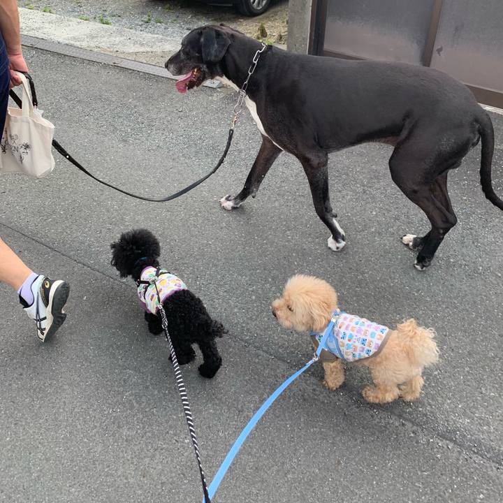 5e707e76 0d10 429f 8591 6fbc51262c5d 1559426395419