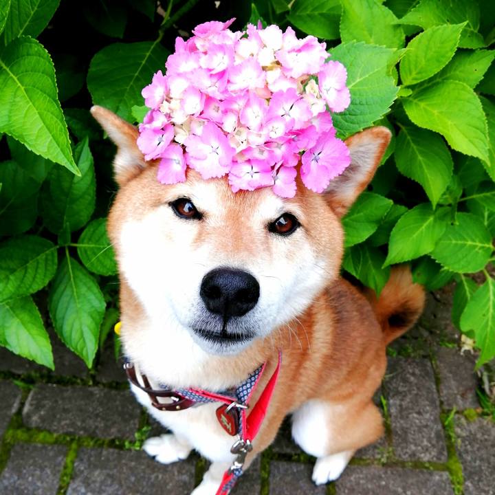 5e708832 2212 4435 a951 8b35bdd14ddd 1655190683710