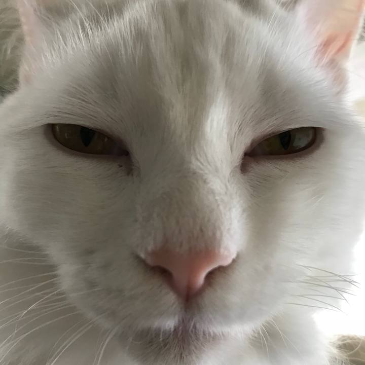 5e709597 f84b 4c45 ae46 40306b69e87a 1518831564098