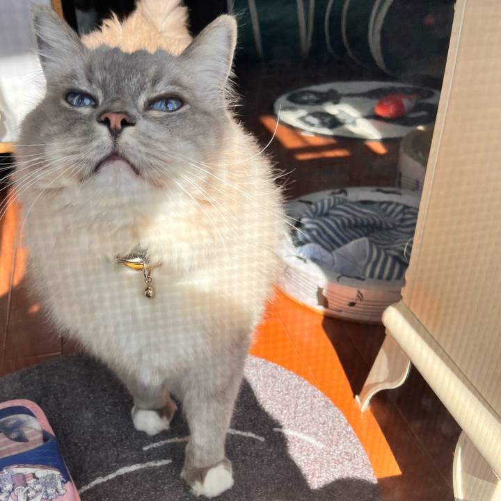 5e709cd9 8119 49d7 a97e b9231d9e287b 1667705220717