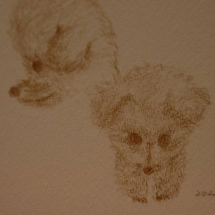 5e709dd4 9de8 43e9 844c 8013b4d234f2 1650546424809