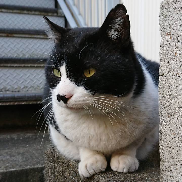 5e70b791 0d01 44ac b989 cc5dba3760d7 1547449144364