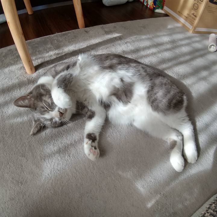 5e7106d5 ceec 47f4 8504 157a645948bf 1609562966280