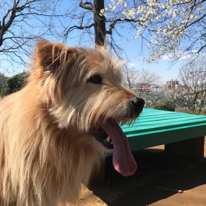 5e710a04 afbc 4420 8636 94066fa23cd3 1554170059202