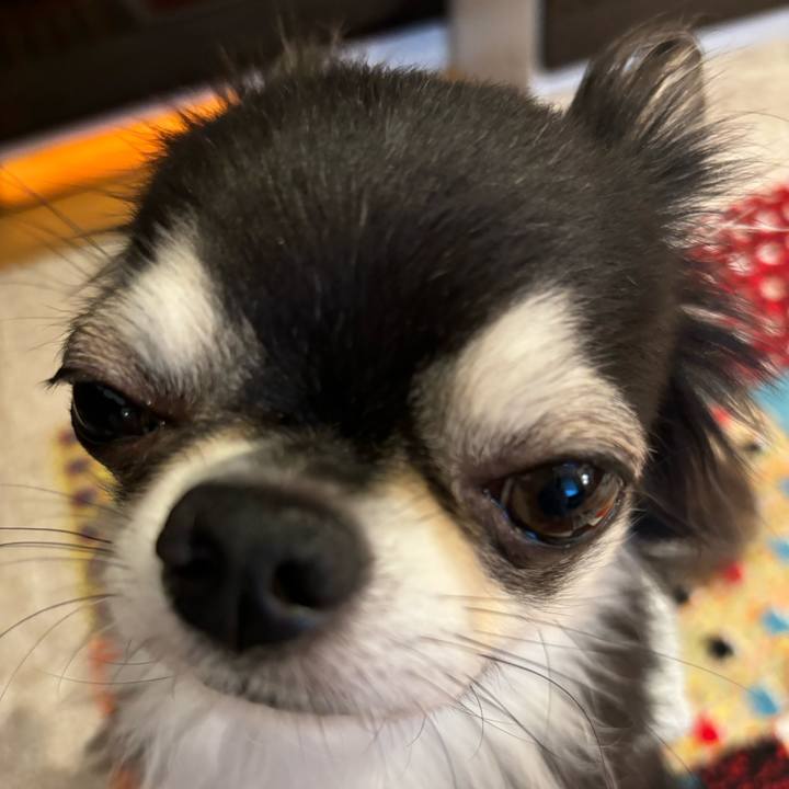 5e71144a b1e1 4f40 82fb a2966caa7b03 1727020324735