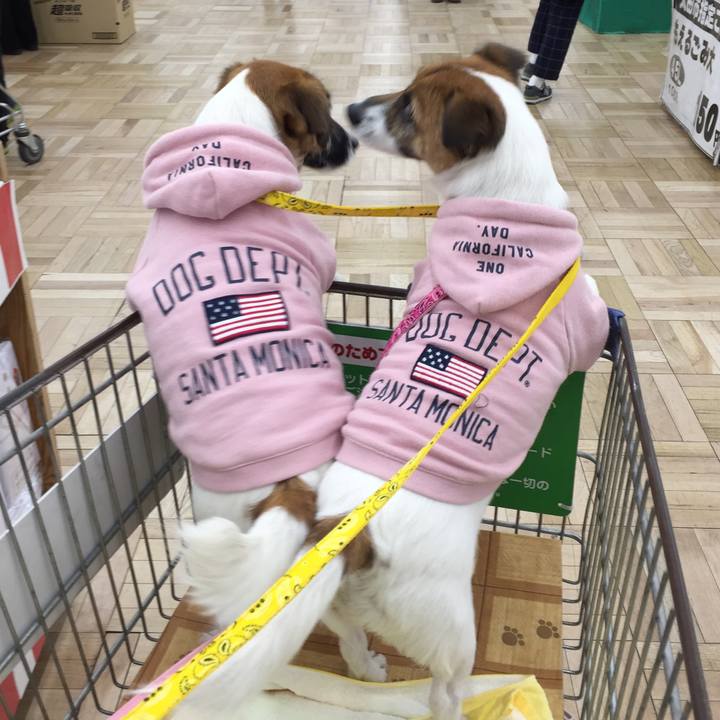 5e7116f3 9ca5 4f89 a70a bb955a39901f 1514967543049