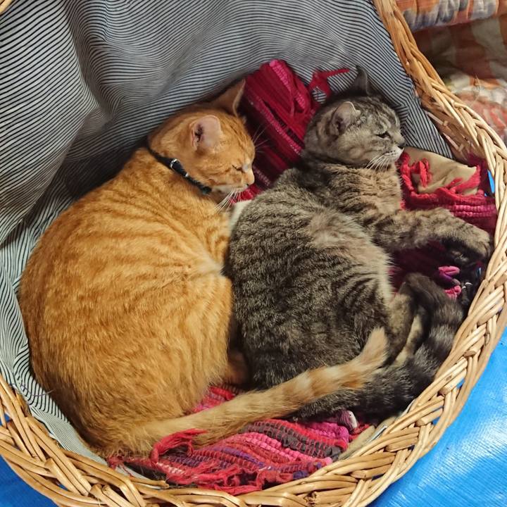 5e712c59 3d74 4be2 8a36 38a8cb61261a 1561281396223