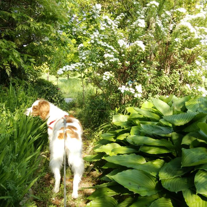 5e7133cd 560e 486b 8bd6 5320f2b6ad2c 1524196991707