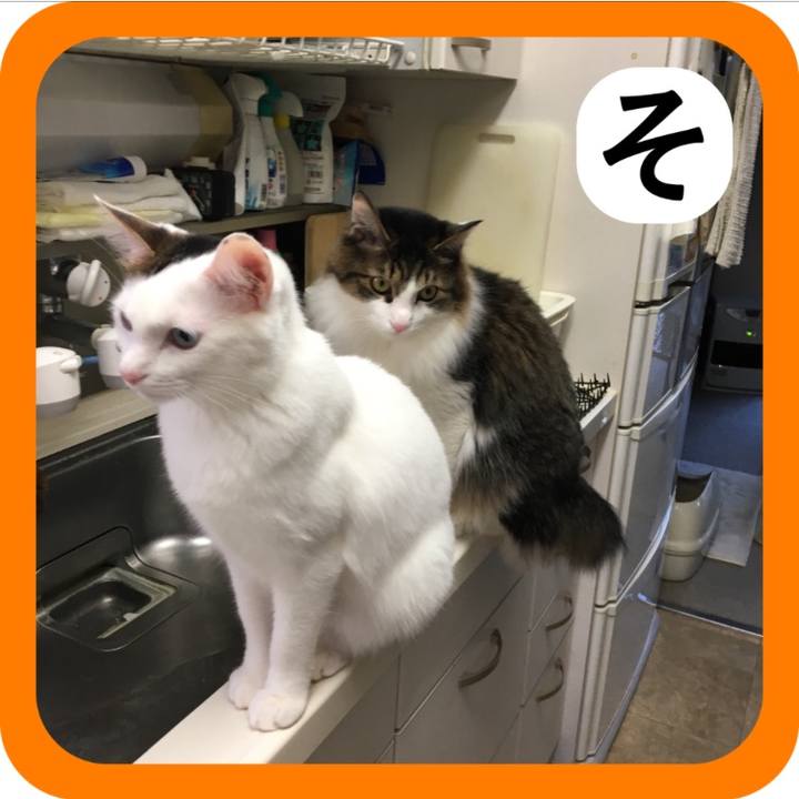 5e713468 89b8 4377 9ac0 922c87e5efeb 1514895265013