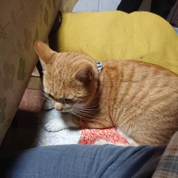 5e713dfc 653a 4ebd 9eb2 5d614e7f3d20 1572345412705