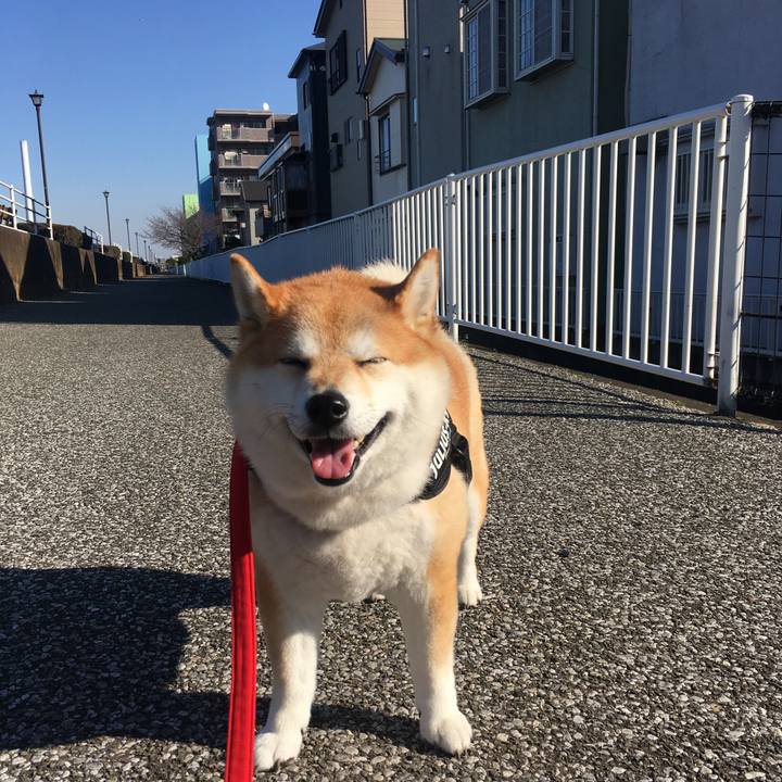 5e7142ae b62b 489a 9b55 0f73036419bf 1576123028652