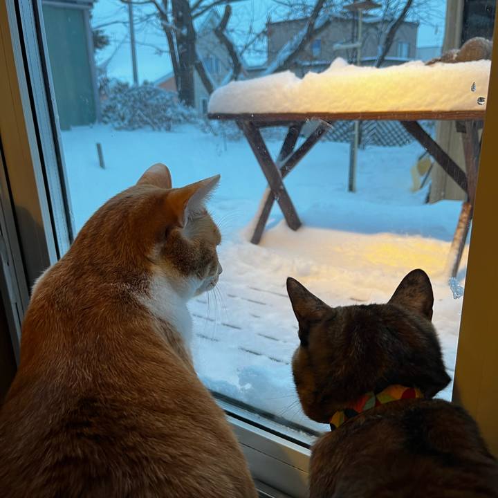 5e7163a4 3e9f 4a50 9e0e c84982d8f2d1 1734905149940