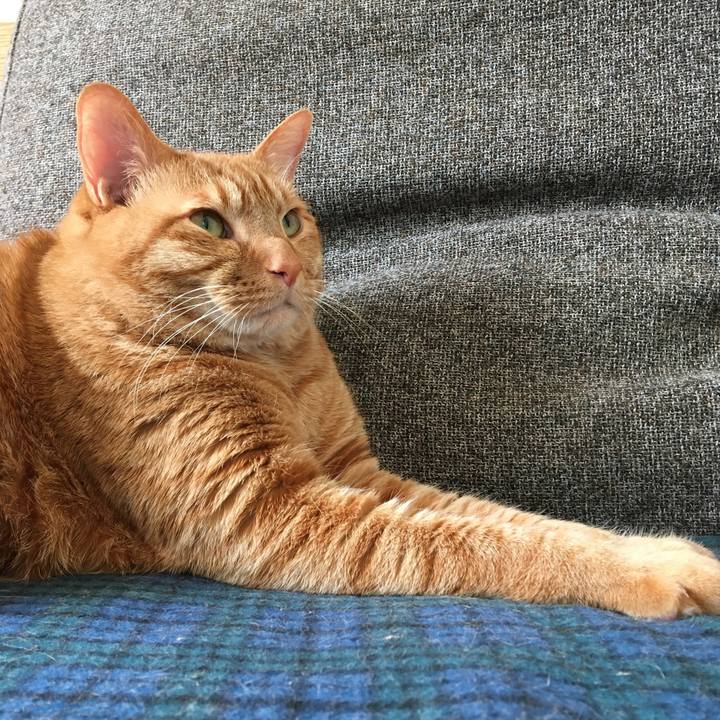 5e717d2f 2788 43bd 8fea 067f5c23b80a 1585786152393