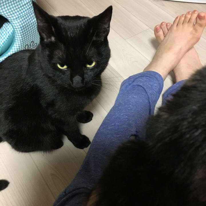 5e719164 fe44 4f0b a692 4cd6c9699037 1513075213255