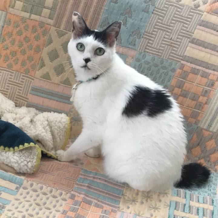 5e71ad54 c1e0 41ba a05b 24bd46f62e52 1534137189720