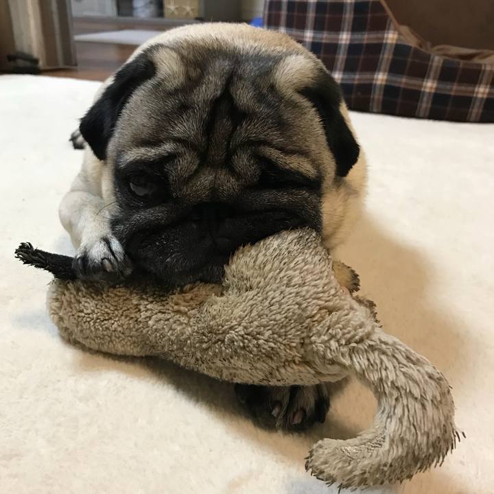 5e71b3ab 71ae 4408 ae1f 6ba73f21063c 1526557868542