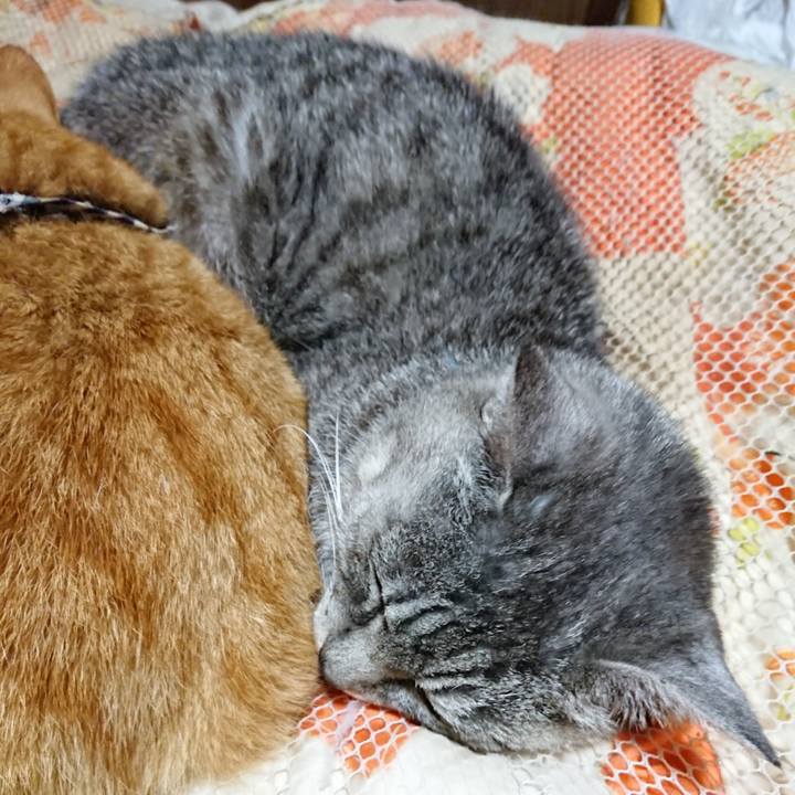 5e71d360 9151 4771 8f3a 89fc4b5bc859 1571661149893