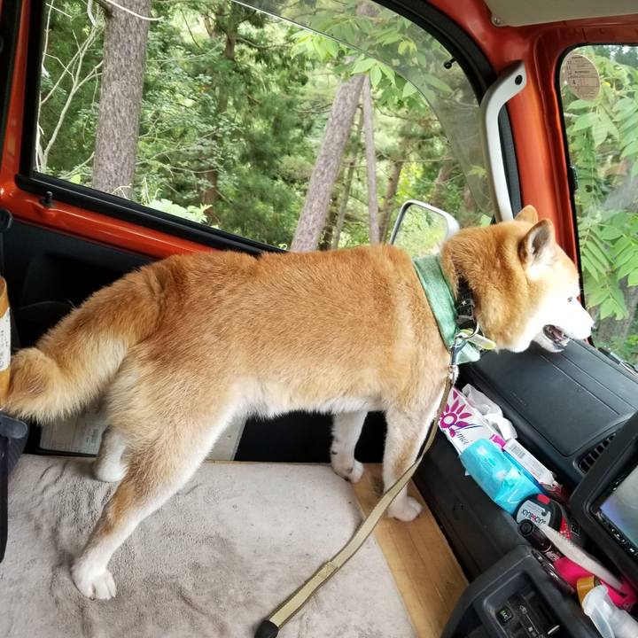 5e71eab9 7475 4231 be94 e629936be6aa 1657699259741