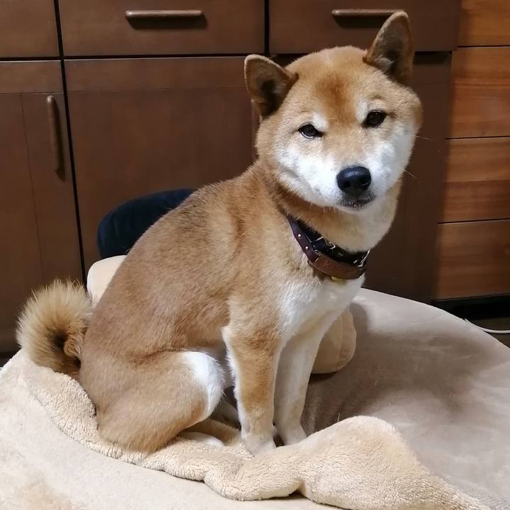 5e71f19e c4e8 4dba 8794 f99e63c54a8c 1580035288053