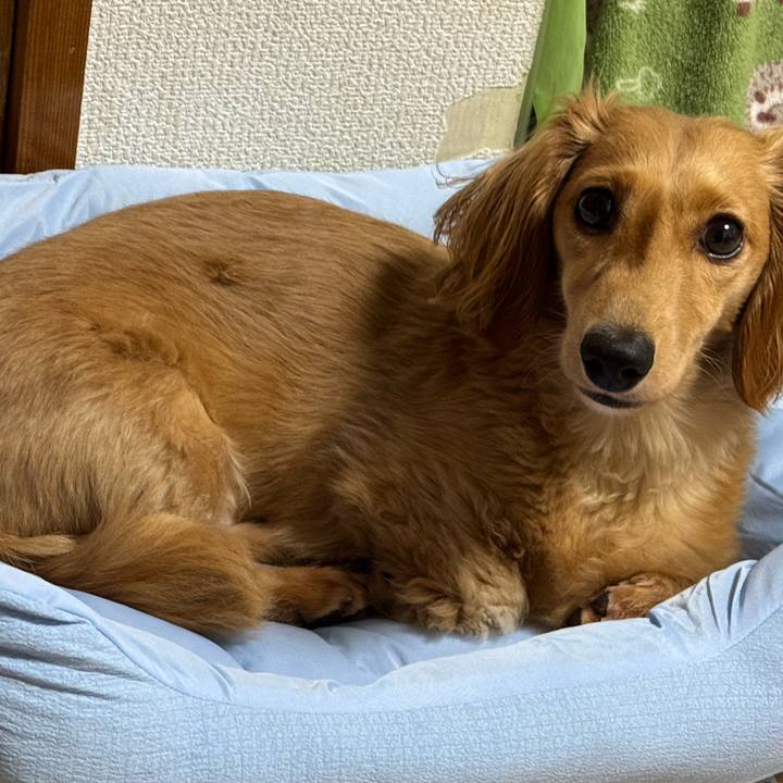 5e7214fb 2009 4128 add6 6b4485ec1243 1749913420482