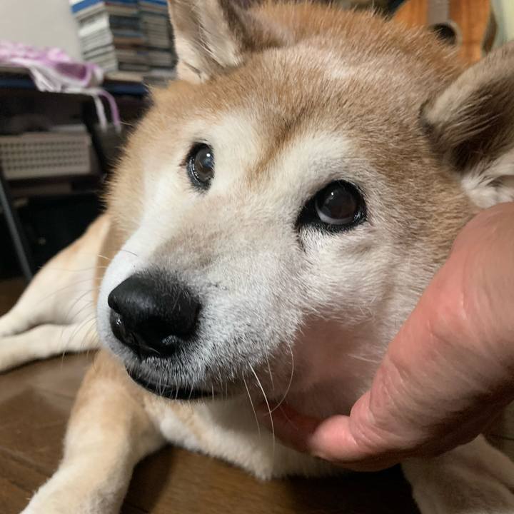 5e724bf3 74c5 4628 8c1a b8de96693cb0 1627358434100