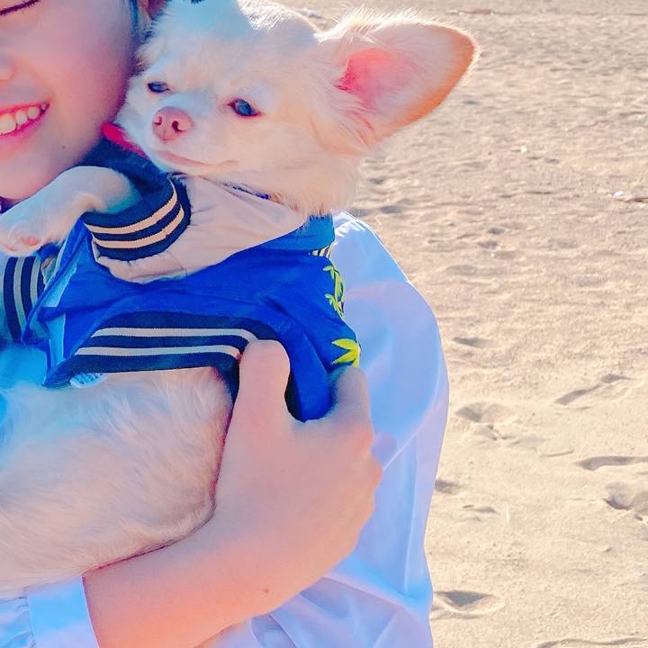 5e725fb7 5565 4c61 b4a1 f54c30191246 1641117408471