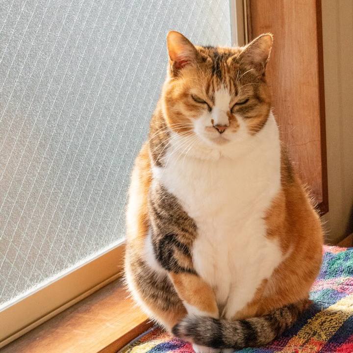 5e726c9f 208d 4fce bce2 0a3e452056ef 1610991189867