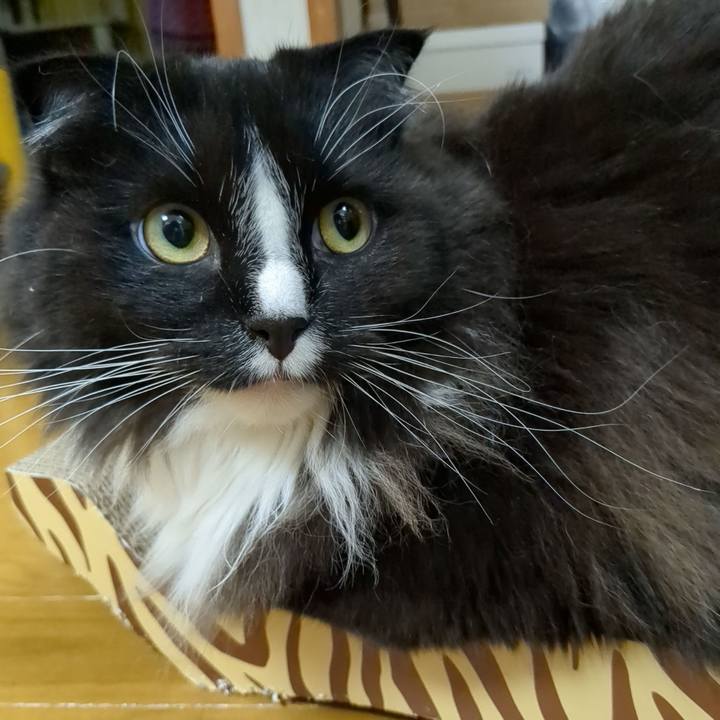 5e727c55 311d 40c6 980a e911154803a2 1682161878141