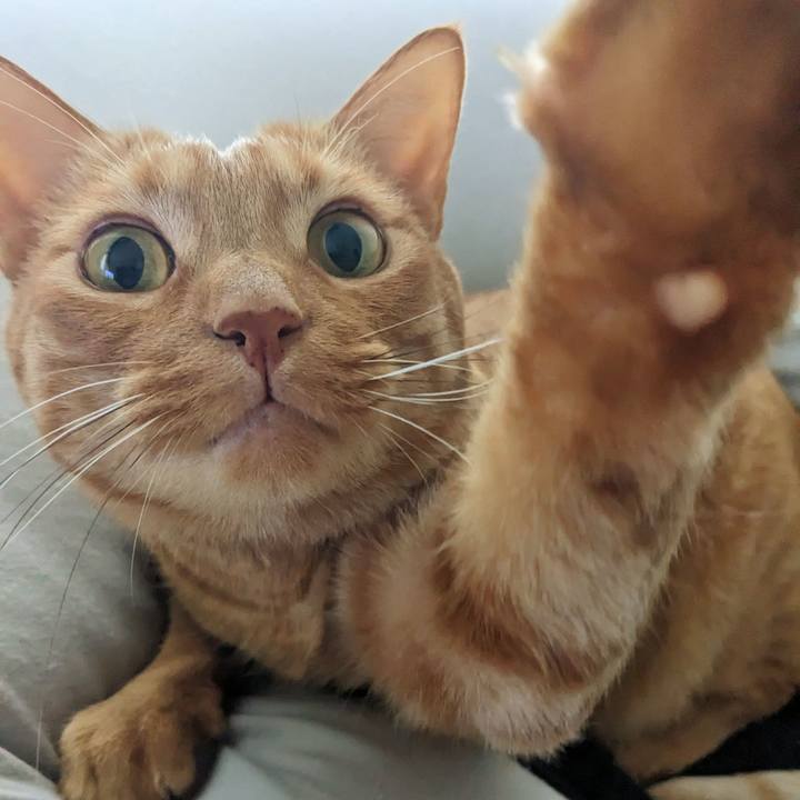 5e729939 b6d4 4ded b22b c2705a1bd063 1673479819169