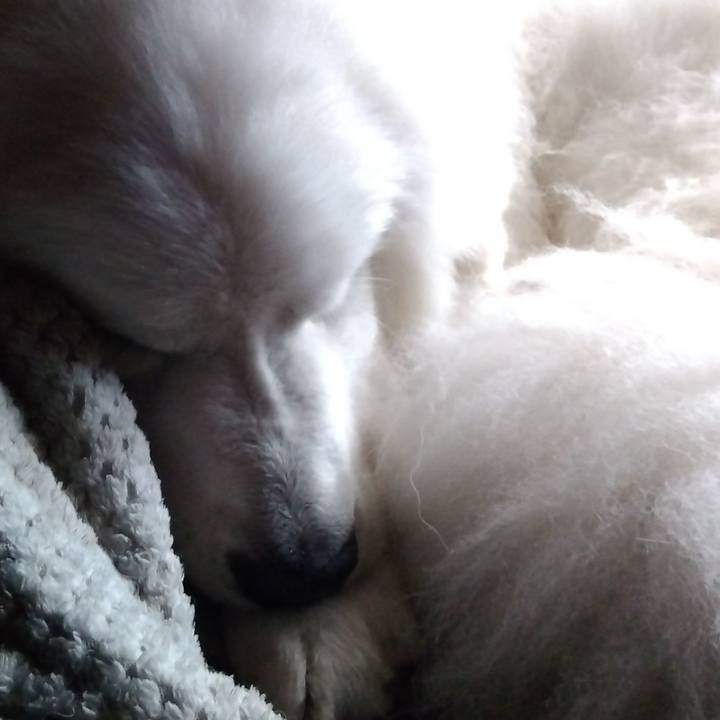 5e72a4ed d2fa 4e8e bb96 c4fe72ae0188 1673832183239