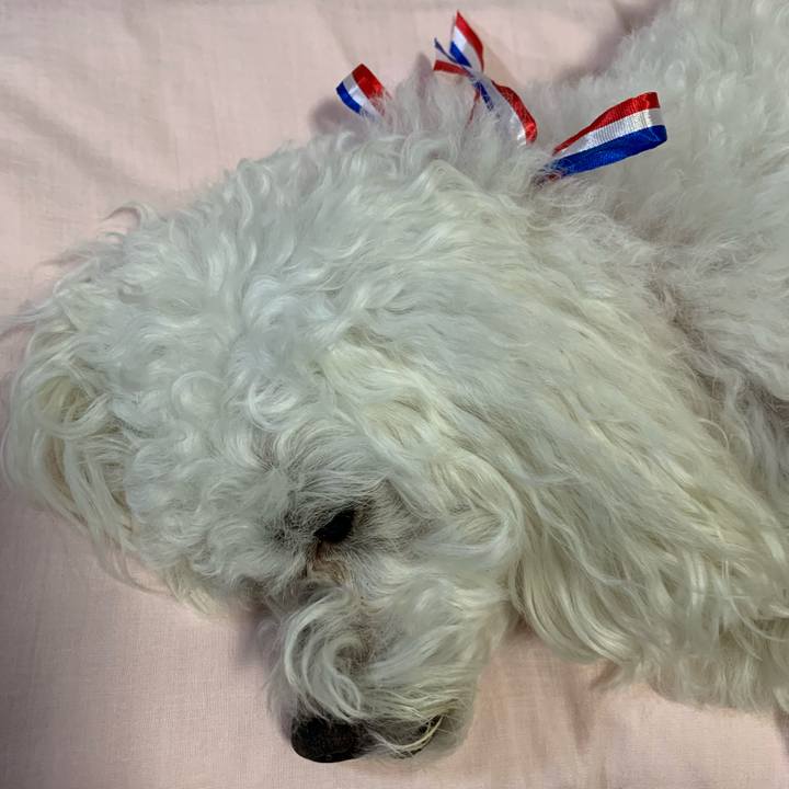 5e72c357 1063 4c08 b3fa ad2f7ad5224b 1612693737824