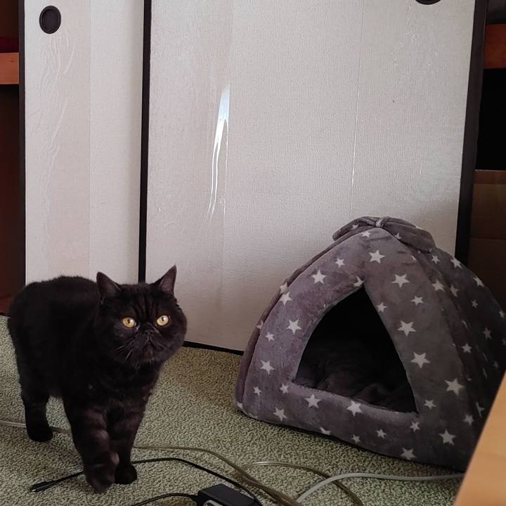 5e72dd7c b293 4065 9882 28d2e126a39b 1637384523512