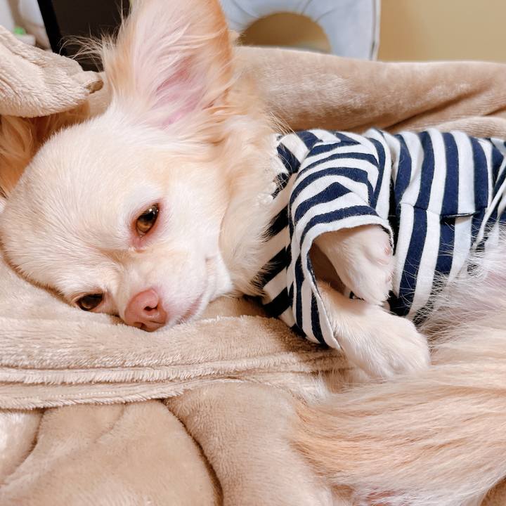 5e72f197 fc4a 4b93 8463 733029735e1f 1660037023582