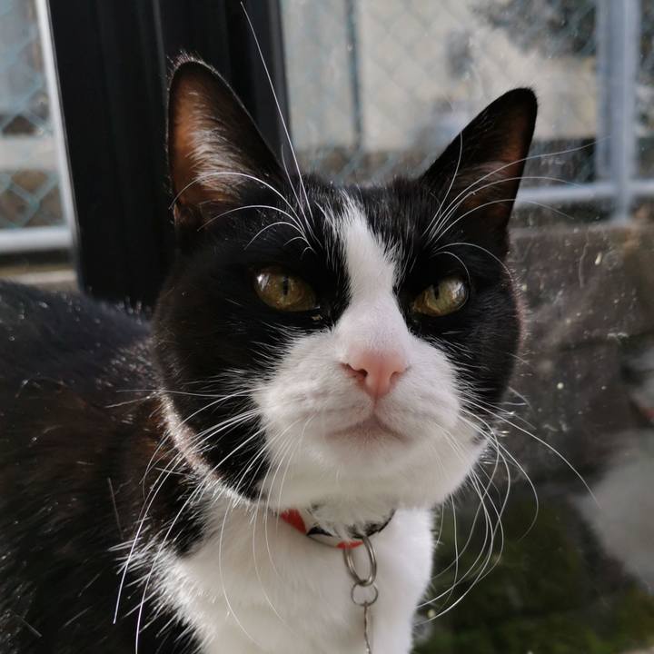 5e730506 8706 4c54 aa96 b865af52487e 1636790313229