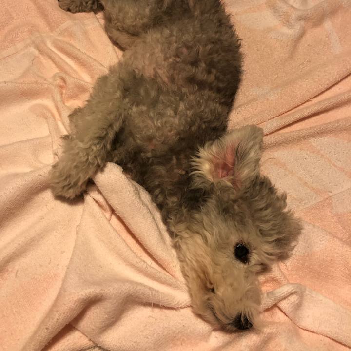 5e7312cf 4e9f 45c3 b850 aa58c5637100 1569162007719