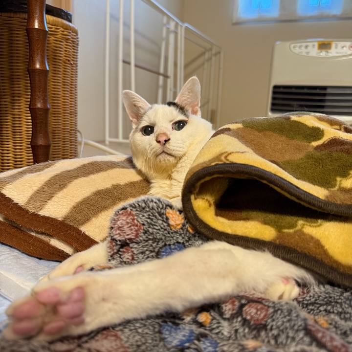 5e732d9d c9de 4480 ad3c b9eb883ef740 1766621400666