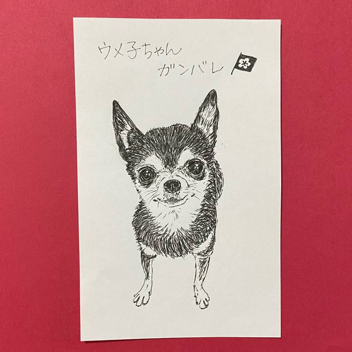 5e733591 4de2 4fc7 98e3 b07f99ef78da 1627801219489