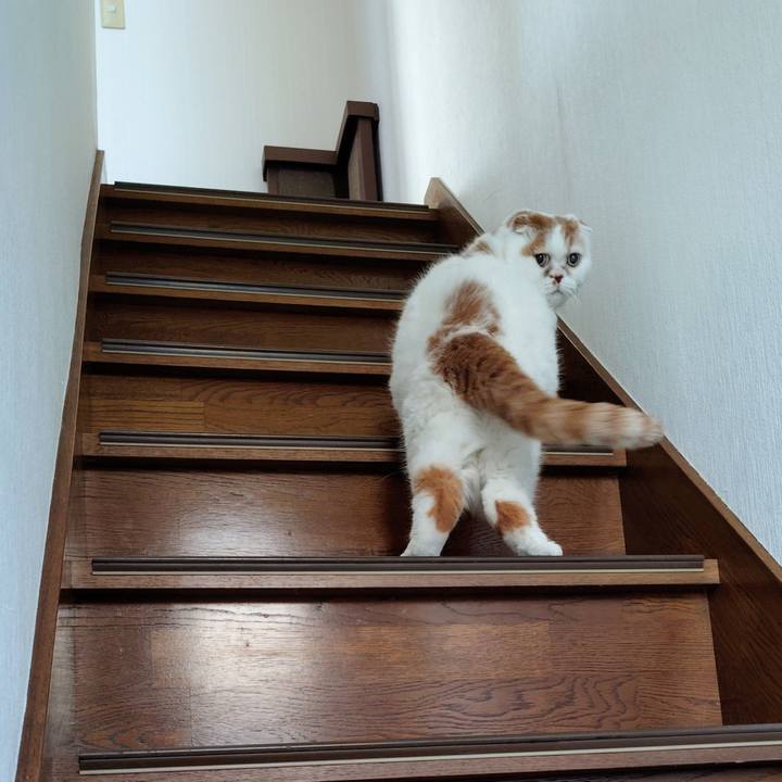 5e736597 6d08 484a b7b1 d106e35f08c0 1763466541344