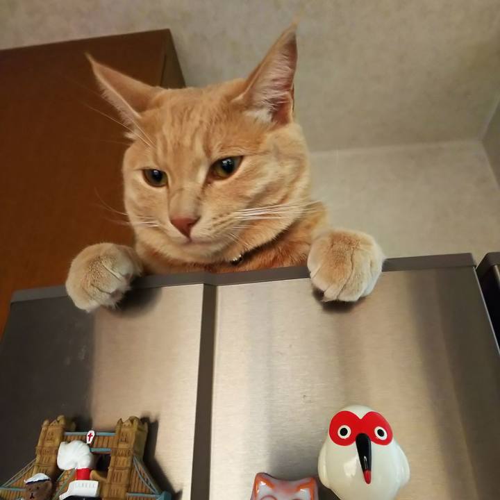 5e7393ee fb99 45a7 9436 9d7b07f2aad4 1562148586787