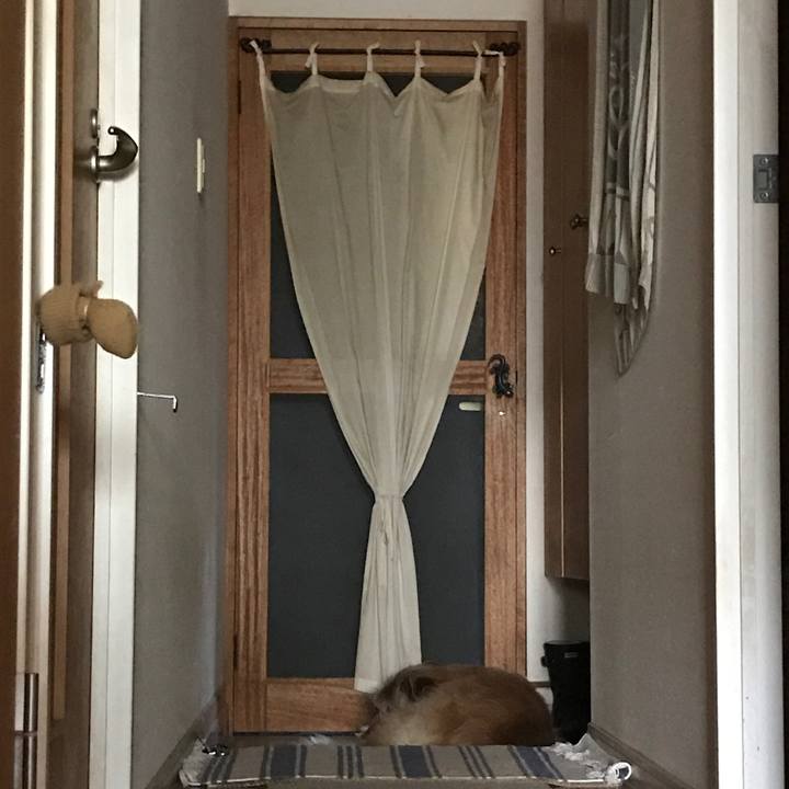 5e73a47f 00e9 4f7f a1b0 1012e22907a9 1621906122556