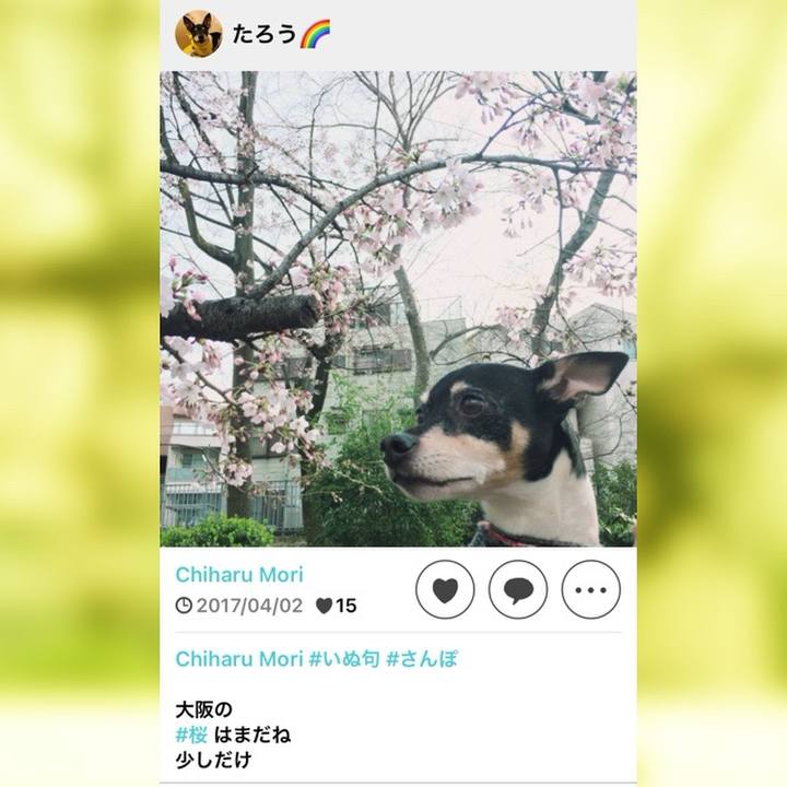 5e73d617 ca08 40b6 ac84 64e4ebe70d83 1712668084139