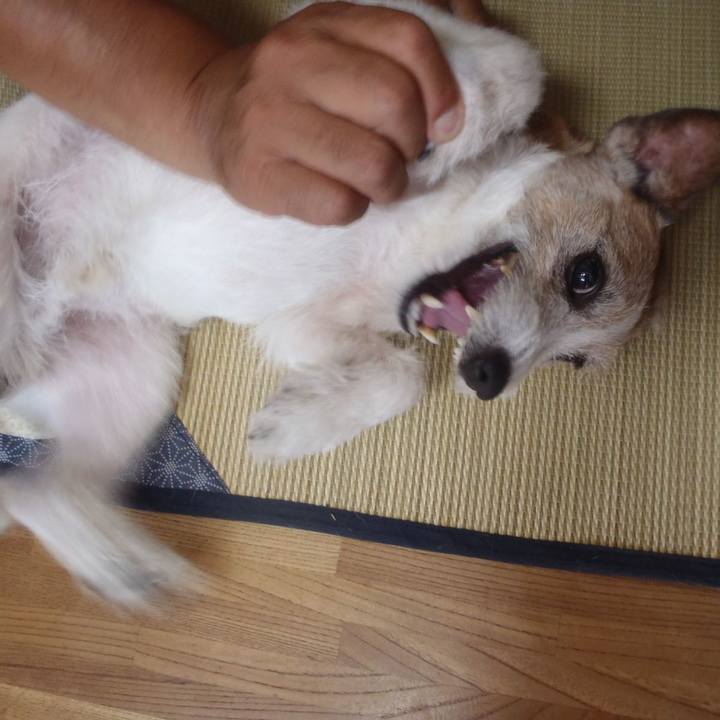 5e740e15 f18e 4b24 acb3 c8120f1b5ca3 1533549329371