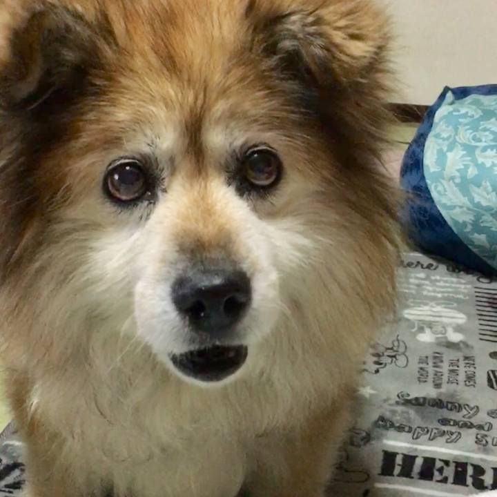 5e7416e1 853f 4e51 81cf 9388ae29ee7f 1555802670259