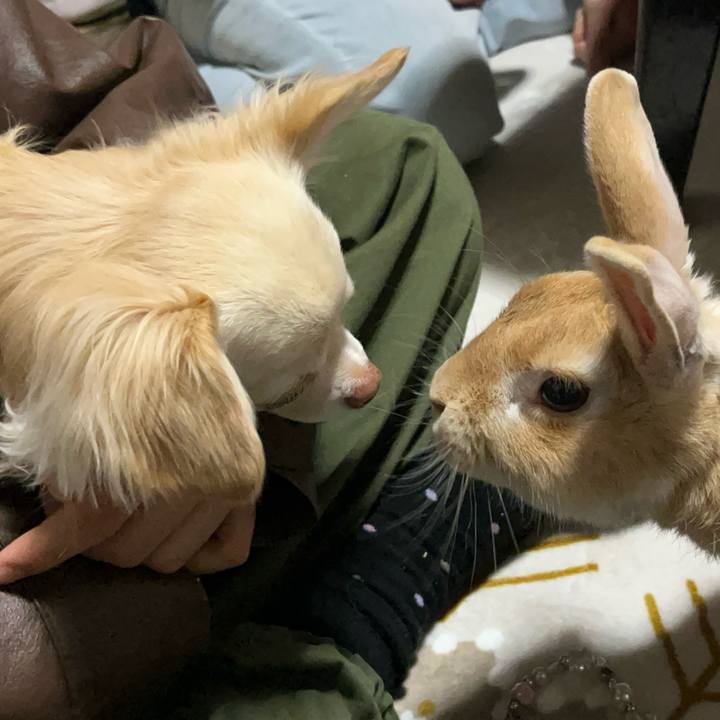 5e743f37 3c54 4761 a900 a40338b95f65 1737017257579