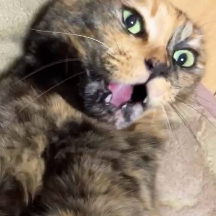 5e7442fe aed9 4064 bfd1 744b31a69abb 1733823061142