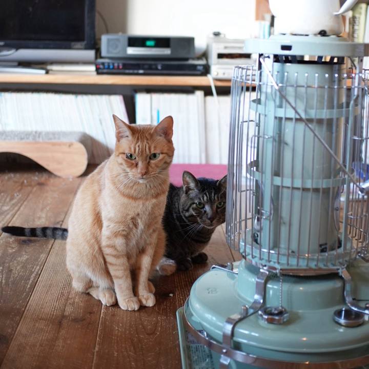 5e744865 a775 43e2 92d9 11e9b1ddf22f 1733009629901