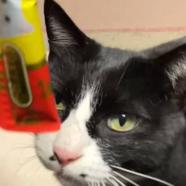 5e744898 02b2 4cf7 a552 c996b70a6024 1740476085648