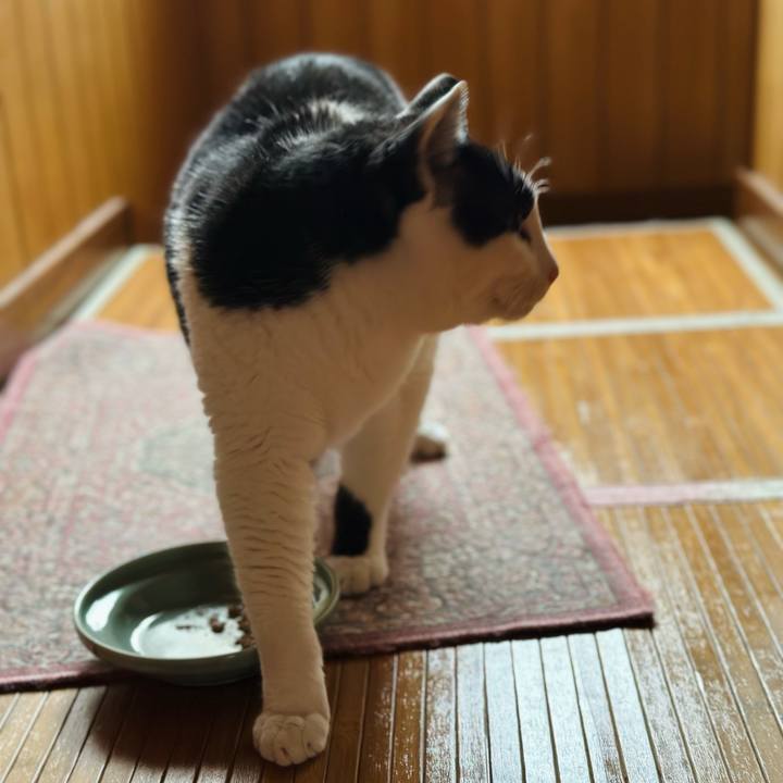 5e74539b 9621 4699 ae46 497235789803 1714098245108